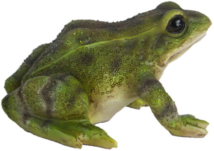 True to Nature Kikker/pad beeldje van steen groen tuindecoratie 8 cm - Beeldjes