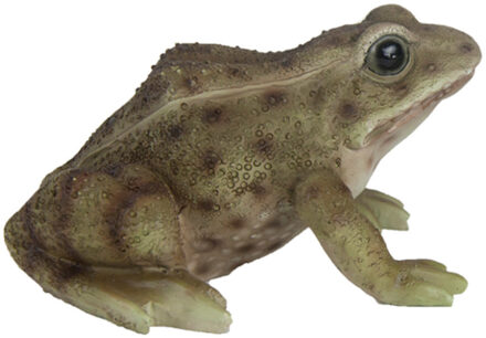 True to Nature Kikker/pad beeldje van steen mosgroen tuindecoratie 8 cm