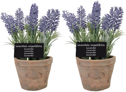 True to Nature Kunstplant - 2x stuks - lavendel - in terracotta pot - 23 cm