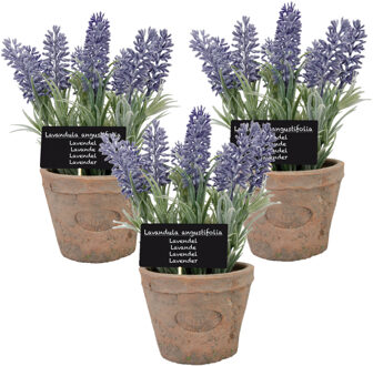 True to Nature Kunstplant - 3x stuks - lavendel - in terracotta pot - 23 cm