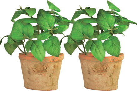 True to Nature Kunstplant/kruiden basilicum - 2x - in oude terracotta pot - 15 cm - kruiden