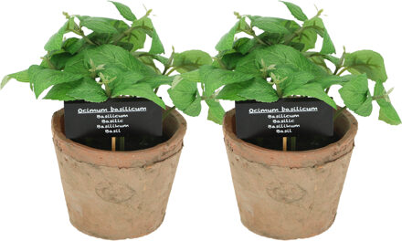 True to Nature Kunstplant/kruiden basilicum - 2x - in oude terracotta pot - 18 cm - kruiden