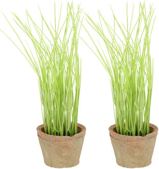 True to Nature Kunstplant/kruiden bieslook - 2x - in oude terracotta pot - 28 cm - kruiden