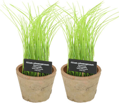 True to Nature Kunstplant/kruiden bieslook - 2x - in oude terracotta pot - 30 cm - kruiden