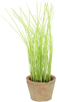 True to Nature Kunstplant/kruiden bieslook - in oude terracotta pot - 28 cm - kruiden