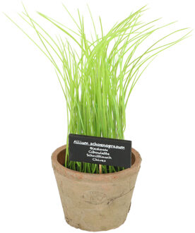 True to Nature Kunstplant/kruiden bieslook - in oude terracotta pot - 30 cm - kruiden