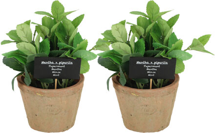 True to Nature Kunstplant/kruiden munt - 2x - in oude terracotta pot - 20 cm - kruiden