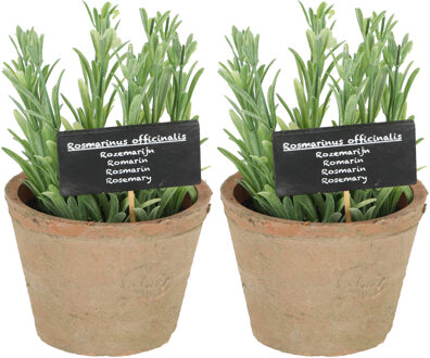 True to Nature Kunstplant/kruiden rosemarijn - 2x - in oude terracotta pot - 18 cm - kruiden