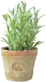 True to Nature Kunstplant/kruiden rosemarijn - in oude terracotta pot - 16 cm - kruiden