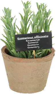 True to Nature Kunstplant/kruiden rosemarijn - in oude terracotta pot - 18 cm - kruiden