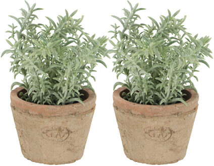 True to Nature Kunstplant/kruiden tijm - 2x - in oude terracotta pot - 15 cm - kruiden