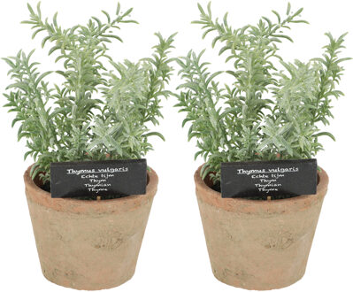 True to Nature Kunstplant/kruiden tijm - 2x - in oude terracotta pot - 21 cm - kruiden