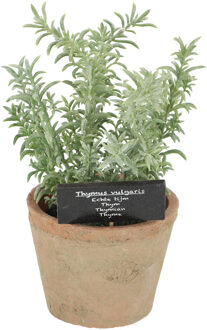 True to Nature Kunstplant/kruiden tijm - in oude terracotta pot - 21 cm - kruiden