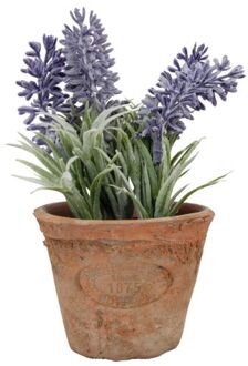 True to Nature Kunstplant lavendel in terracotta pot 15 cm - Kunstplanten Multikleur