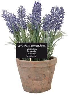 True to Nature Kunstplant lavendel in terracotta pot 23 cm - Kunstplanten Multikleur
