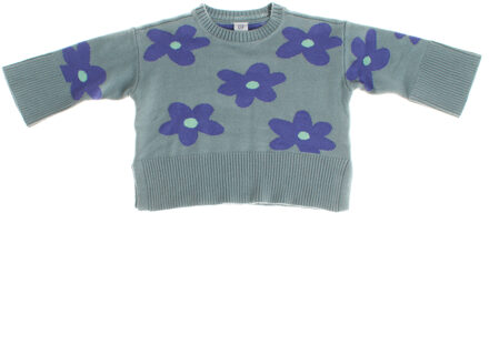 Trui lange mouw 484730 meisje - maat 12-18M / 80cm Groen