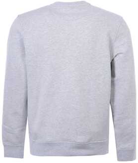 Trui - Mannen - grijs