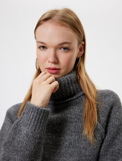 TRUIEN Coltrui Normaal Sweater Donkergrijs