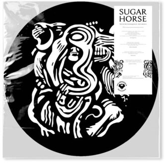 Truth Or Consequences, New Mexico - Sugar Horse