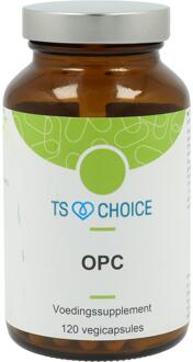 TS OPC 95%/BS - 120 cap