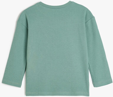 TSHIRT Groene Baby T-shirt Lange Mouwen Ronde Hals Gestructureerd met Neushoornprint