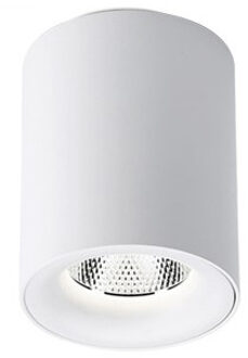 Tube Opbouw Spot Incl. LED Lichtbron Mat Wit