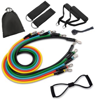 Tube Resistance Bands Set Met Bevestigd Handvatten Deur Anker Draagtas En Oefening Gids Training 12stk