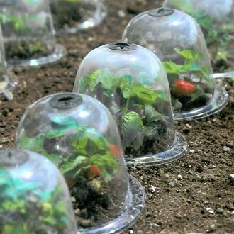 Tuin Cloche Dome Plant Bel Plant Covers Voor Tuin Decor Plant Protector Cover Plastic Voor Plant Protection Cover