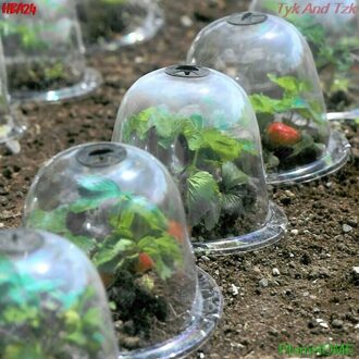 Tuin Cloche Dome Plant Bel Plant Covers Voor Tuin Decor Plant Protector Cover Plastic Voor Plant Protection Cover