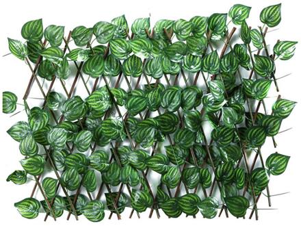 Tuin Groene Wijnstok Hek Privacy Hedge Screen Telescopische Privacy Hek Geschikt Voor Outdoor Indoor Tuin Hek Achtertuin B