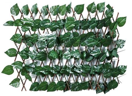 Tuin Groene Wijnstok Hek Privacy Hedge Screen Telescopische Privacy Hek Geschikt Voor Outdoor Indoor Tuin Hek Achtertuin