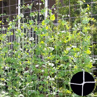 Tuin Plant Trellis Netting Zware Mesh Wijnstok Landing Tuin Weven Groeien Frame Groente Bloem Komkommer Klimmen Netto