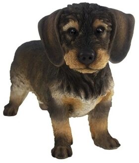 Tuinbeeld Ruwharige Teckel - hond - bruin - 29 cm - polystone