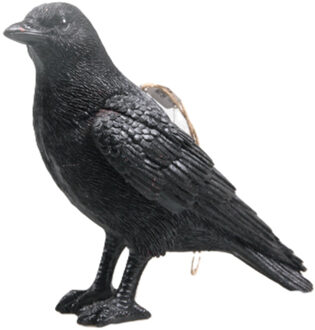 Tuinbeeld Vogel kraai 24x10x20cm zwart