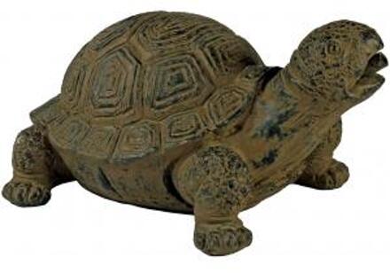 Tuinfontein schildpad Multicolor