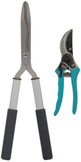 Tuingereedschap smalle heggenschaar en blauwe snoeischaar set