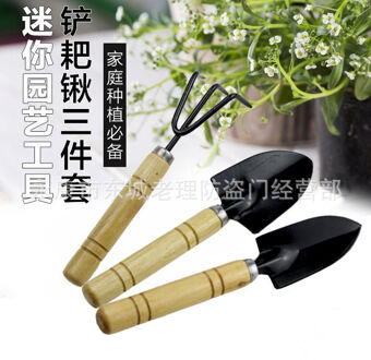 Tuingereedschap thuis planten essentials houten handvat schop tuinieren drie stuk bloem schop vetplant set