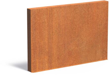 Tuinmuur cortenstaal 200 x 15 x h 135 cm