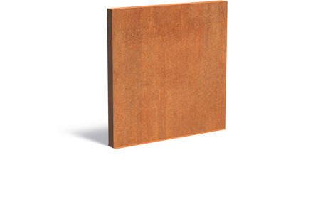 Tuinmuur cortenstaal 200 x 15 x h 200 cm