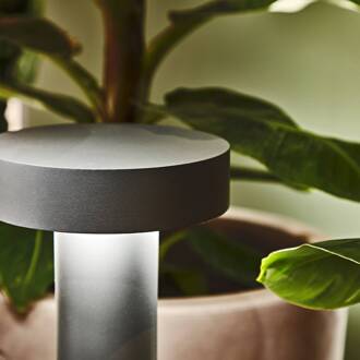 Tuinpadverlichting Tesla antraciet, aluminium, hoogte 60 cm