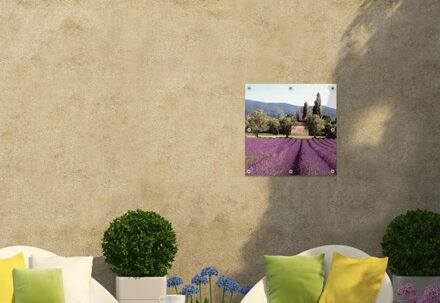 Tuinposter 60 x 60 cm