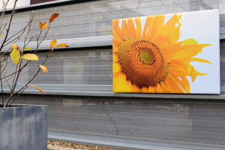 Tuinposter op 4cm frame 120x210 cm