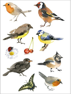 Tuinvogels thema stickers - 30x stuks - kinderstickers - stickervellen - decoratie artike Multi