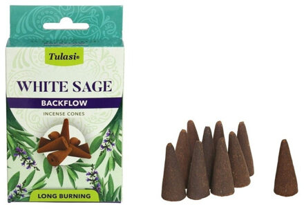 Tulasi Wierook kegeltjes in huisgeur Witte Salie - 10x kleine kegeltjes - Ontspannend Warm wit