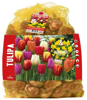 Tulp - Narcis - Bloembollen - Gemengd - 50 stuks