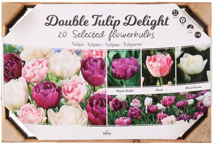 Tulpen Bloembollen mix - in Kistje - Roze - 20 stuks