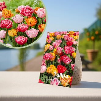 Tulpenbollen mix 'Vroege voorjaarsglorie' - 20 stuks