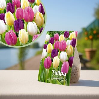 Tulpenbollen 'regenboogmix' - 20 stuks