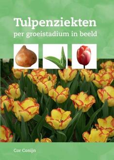 Tulpenziekten - Boek Cor Conijn (9087403003)