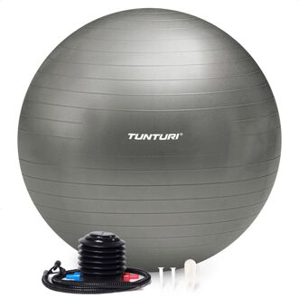 Tunturi Fitnessbal 75 Cm - Zilver Grijs